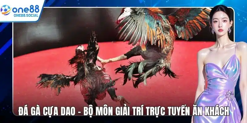 đá gà cựa dao