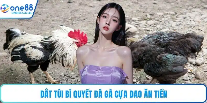 Dắt túi bí quyết đá gà cựa dao ăn tiền