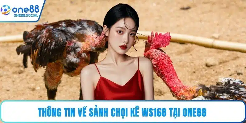 Thông tin về sảnh chọi kê WS168 tại ONE88